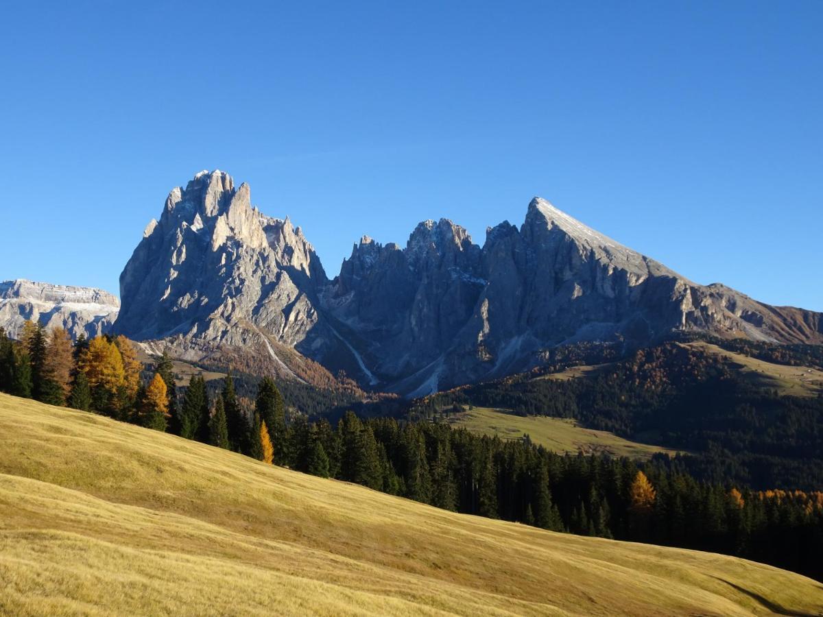 Appartamento Dolomiti 셀바디발가르디나 외부 사진