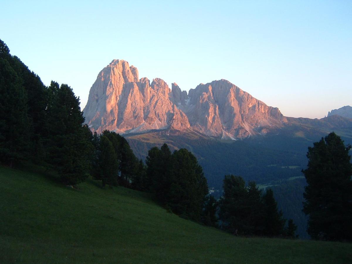 Appartamento Dolomiti 셀바디발가르디나 외부 사진