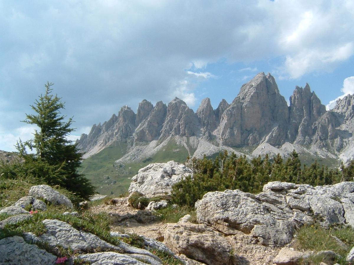 Appartamento Dolomiti 셀바디발가르디나 외부 사진